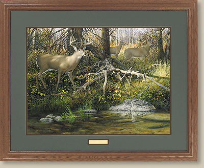 When Seasons Change-Whitetail Deer by Ron Van Gilde (image for) When Seasons Change-Whitetail Deer by Ron Van Gilde